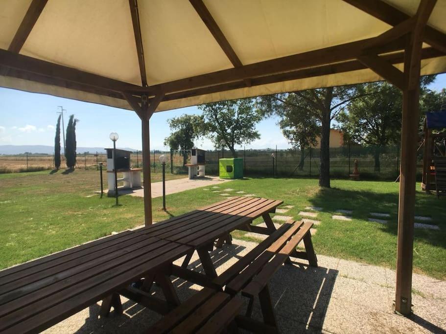 Deste - In Campagna 4 Posti Letto Con Giardino La Sdriscia Eksteriør billede